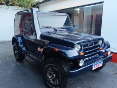 T4 3.0 TDI